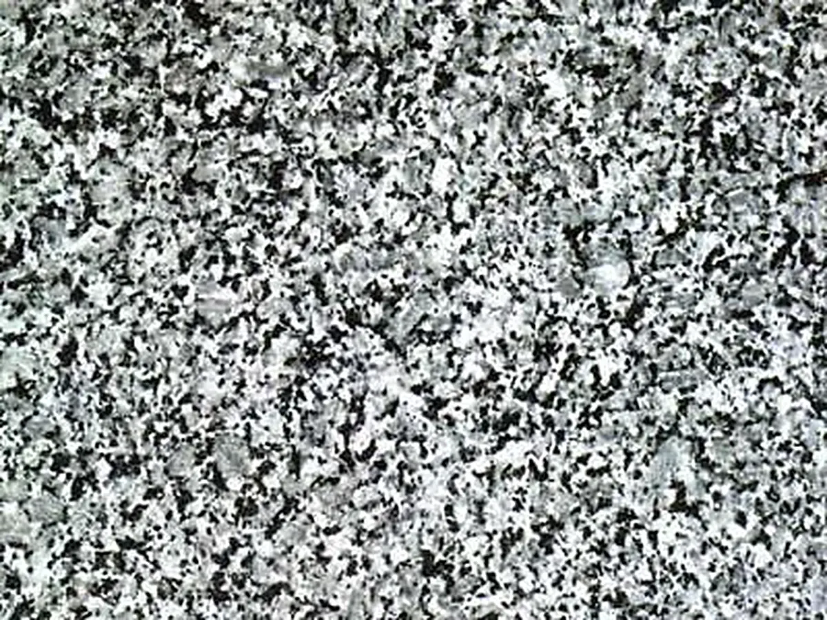 Gris Zarza granite polished sample – Marmi di Carrara – grey, light grey (1)