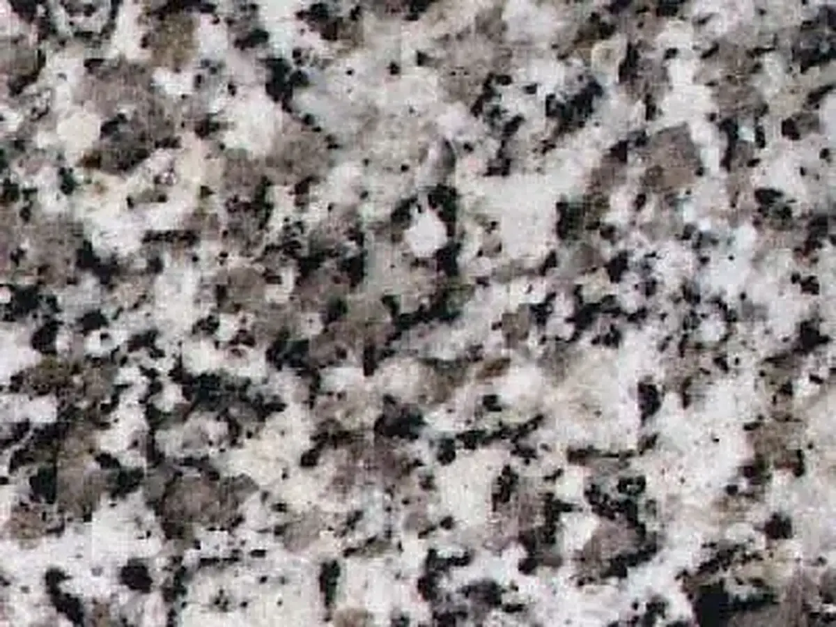 Grissal granite polished sample – Marmi di Carrara – grey, light grey (1)