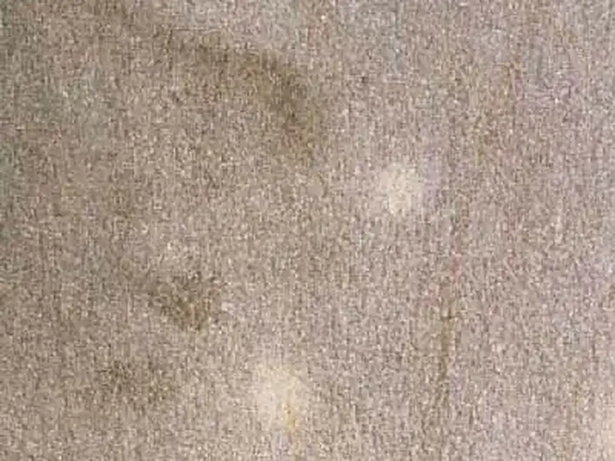 Gritstone sandstone polished sample – Marmi di Carrara – beige, grey (1)