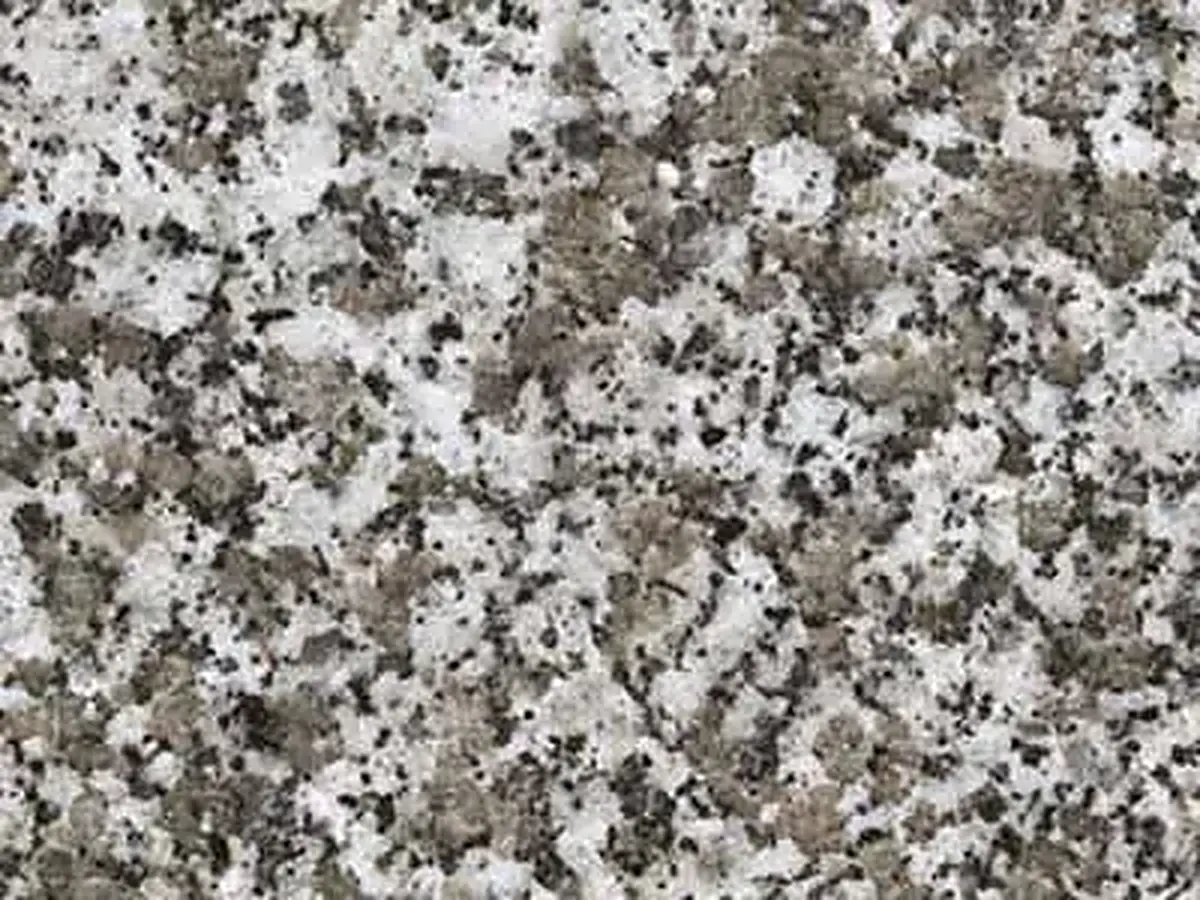 Harcourt granite polished sample – Marmi di Carrara – grey, light grey (1)