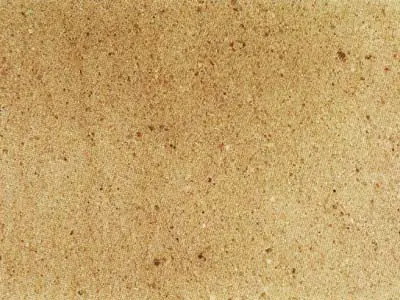 Heilgersdorf sandstone polished sample – Marmi di Carrara – gold, beige (1)