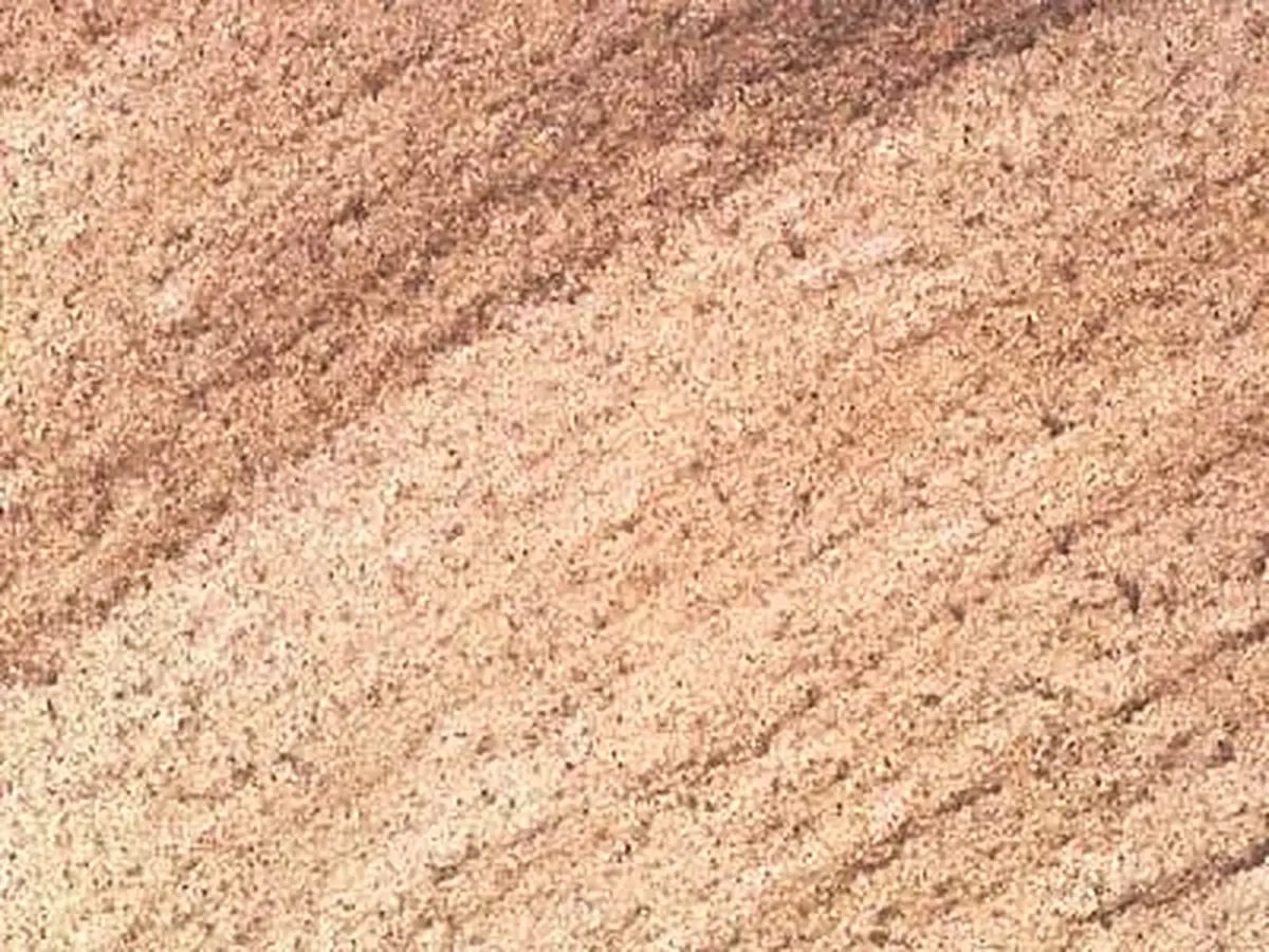 Helidon sandstone polished sample – Marmi di Carrara – beige, gold (1)