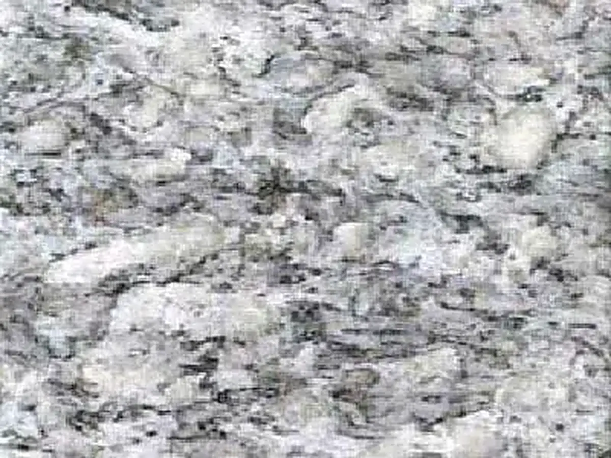 Ice Grey granito, campione lucido – Marmi di Carrara – grigio chiaro, grigio (1)