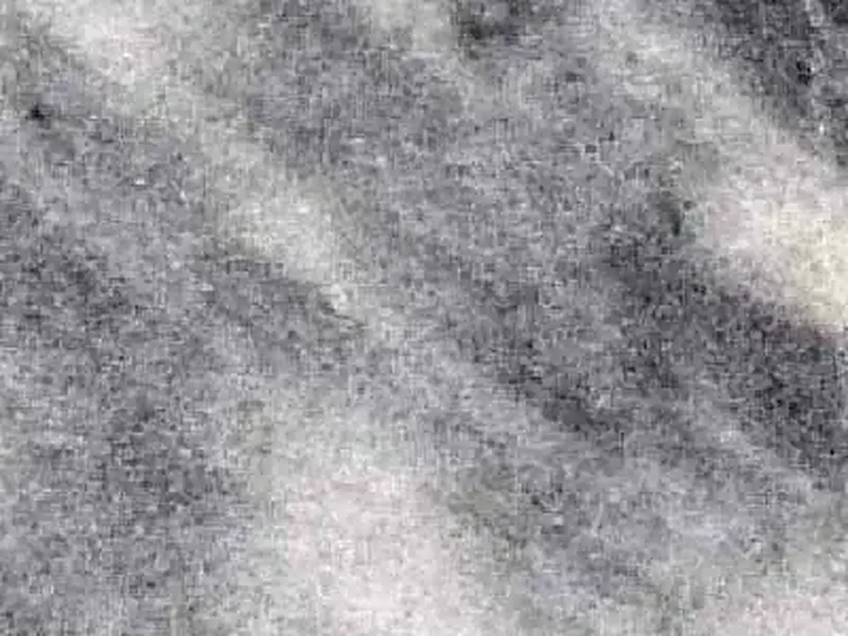 Impact Grey Marmor, polierte Probe – Marmi di Carrara – grau, hellgrau (1)