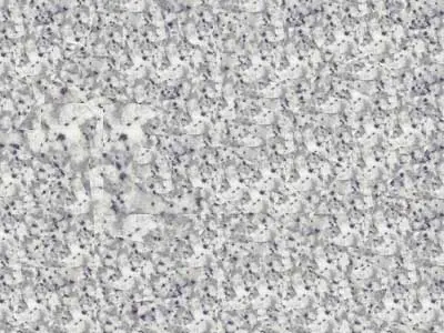 Inada granito, campione lucido – Marmi di Carrara – grigio chiaro, avorio (1)