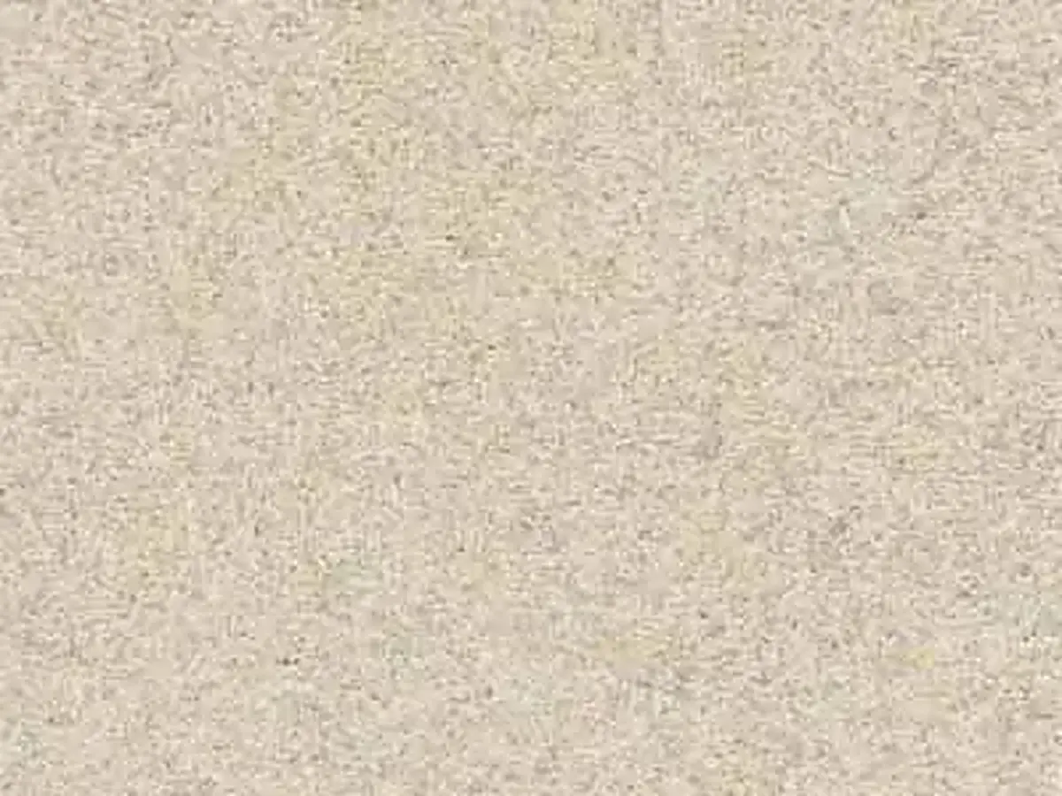 Indiana Limestone calcaire, échantillon poli – Marmi di Carrara – gris clair, ivoire (1)