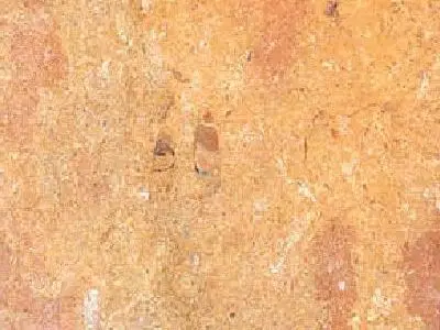 Indus Gold marble polished sample – Marmi di Carrara – gold, brown (4)