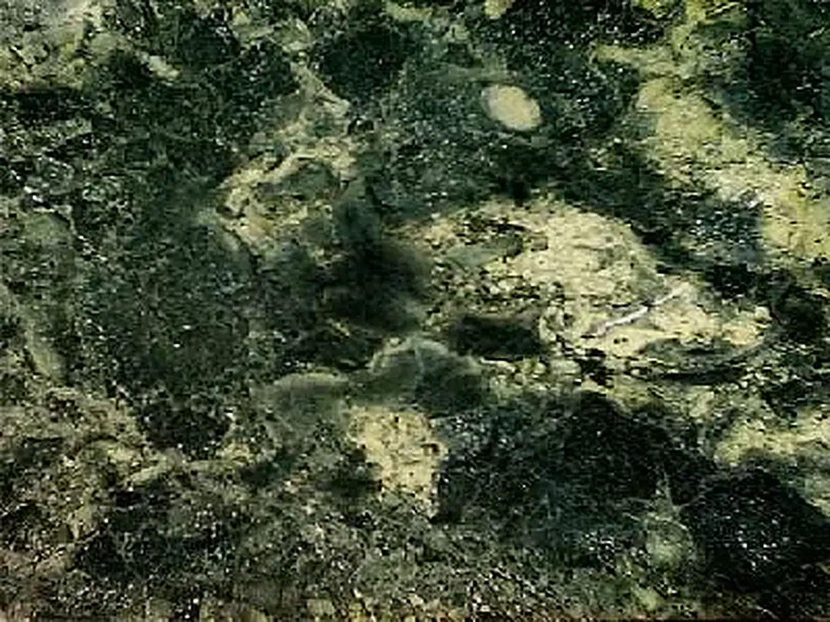 Iran G 156 granito, campione lucido – Marmi di Carrara – nero, antracite (1)