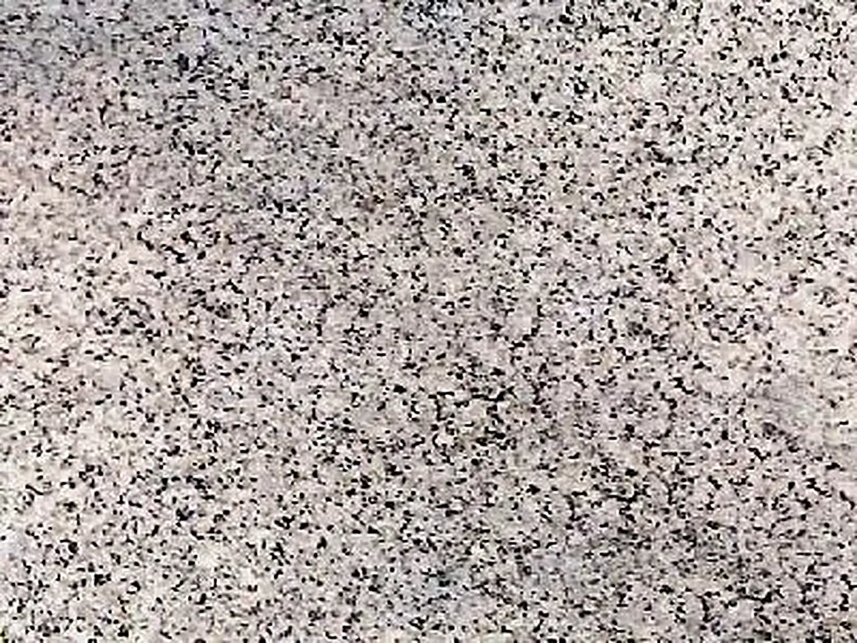 Iran G 159 granito, muestra pulida – Marmi di Carrara – gris claro, beige (1)