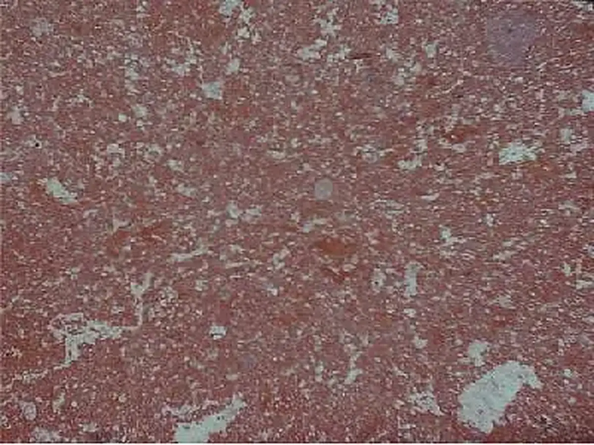 Iran G 163 granito, muestra pulida – Marmi di Carrara – violeta, marrón (1)