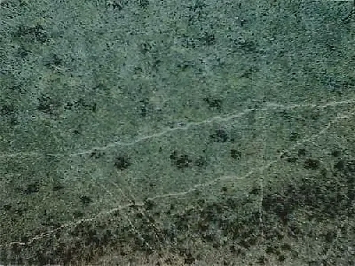 Iran G 166 granito, muestra pulida – Marmi di Carrara – verde, antracita (1)