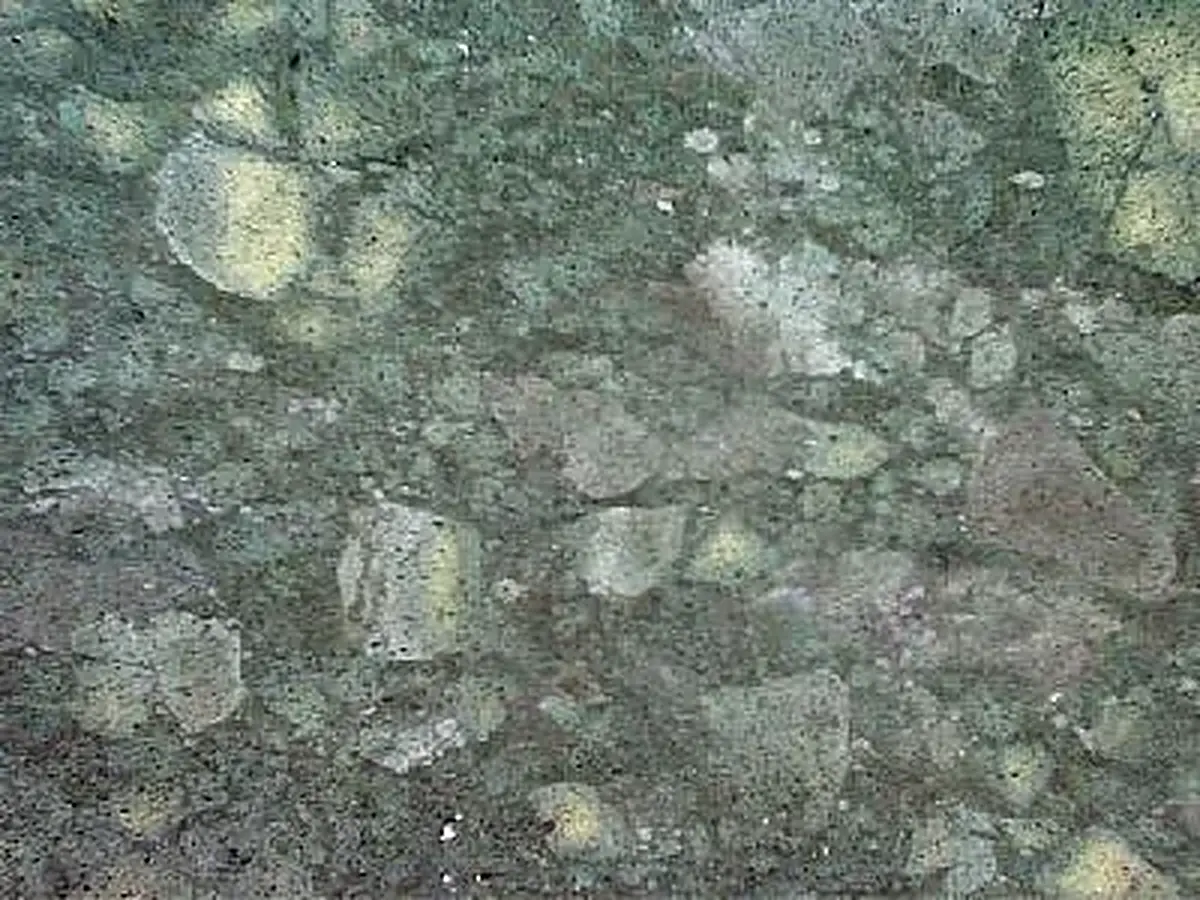 Iran G 170 granite polished sample – Marmi di Carrara – green, grey (1)