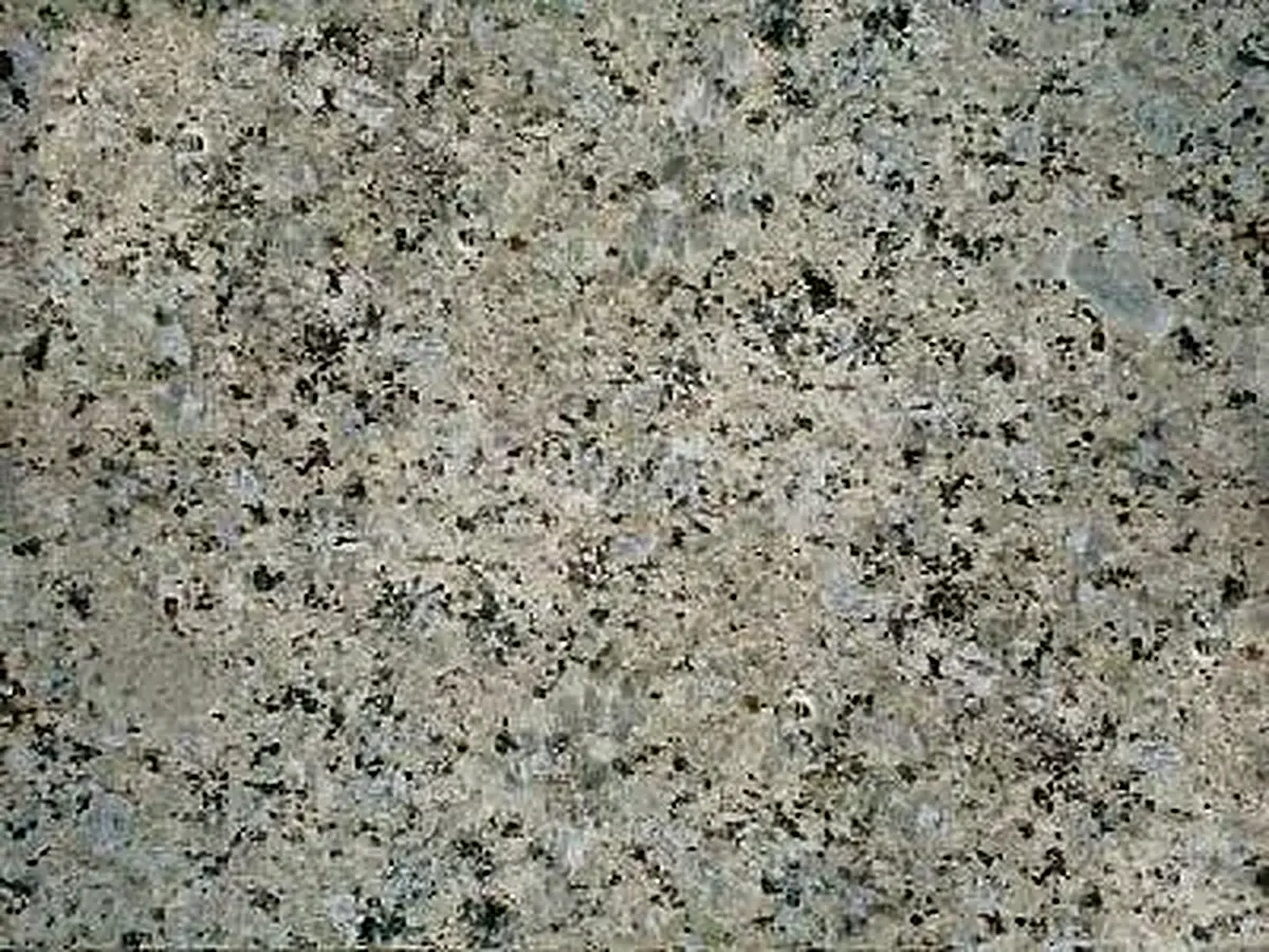 Iran G 172 Granit, polierte Probe – Marmi di Carrara – grau, grün (1)