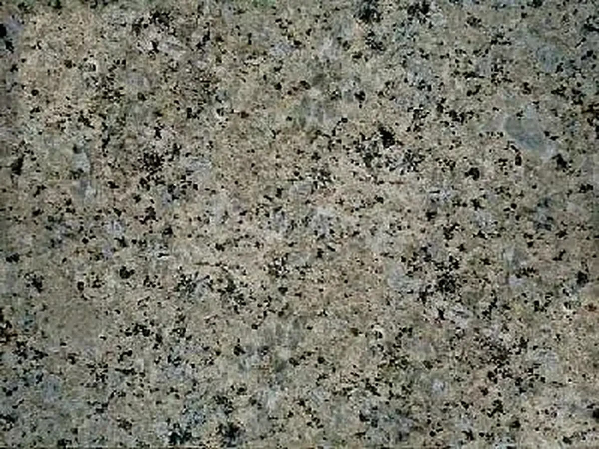 Iran G 189 Granit, polierte Probe – Marmi di Carrara – grau, grün (1)