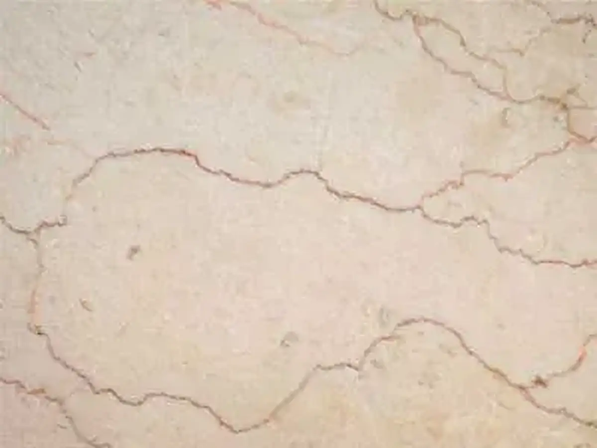 Iran M 203 caliza, muestra pulida – Marmi di Carrara – marfil, gris claro (1)