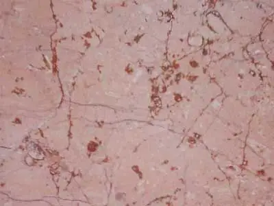 Iran M 210 limestone