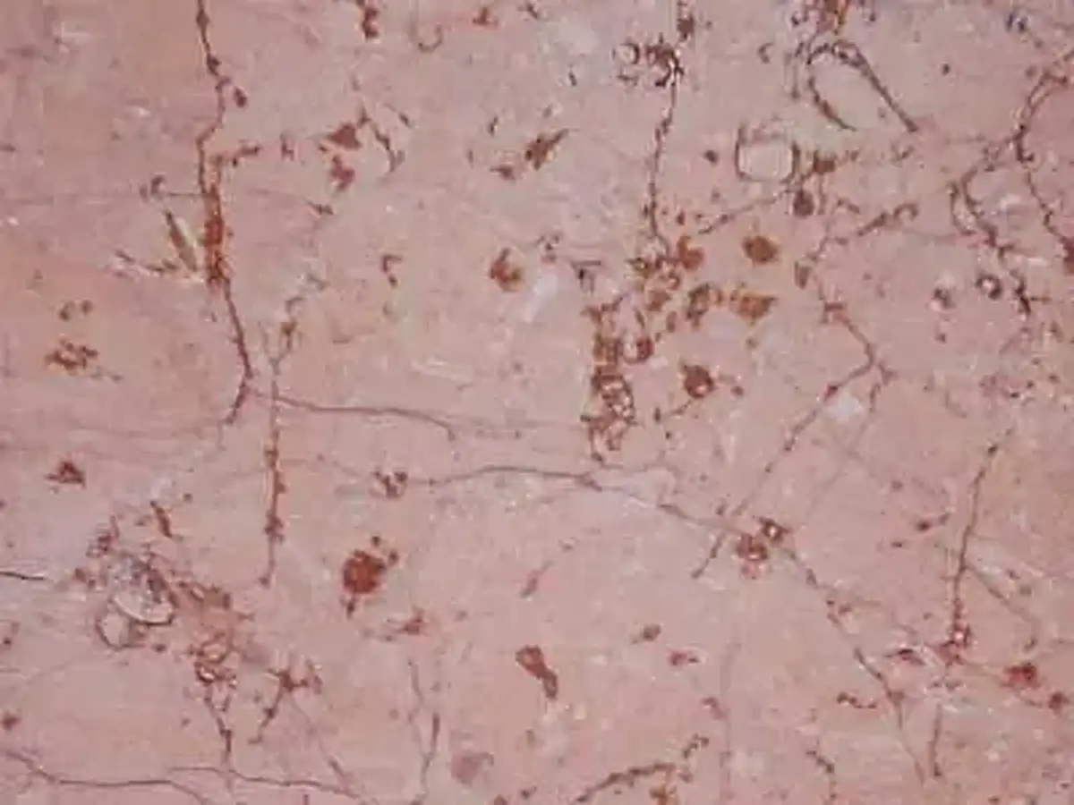 Iran M 210 limestone polished sample – Marmi di Carrara – pink, grey (1)