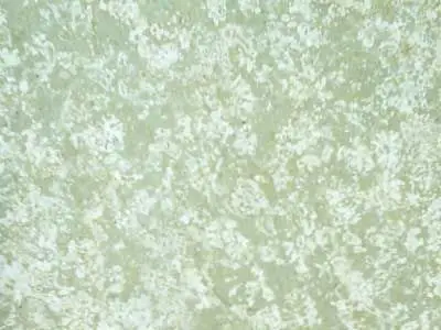 Iran M 217 marble