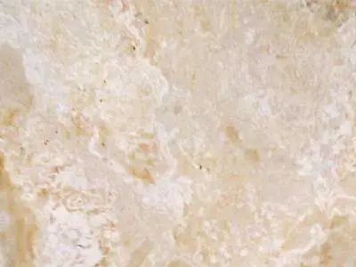 Iran M 219 limestone
