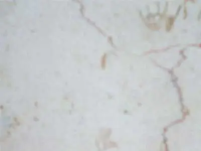 Iran M 223 marble