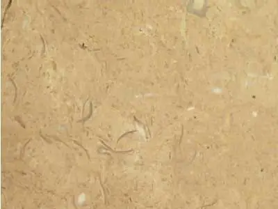 Iran M 230 limestone
