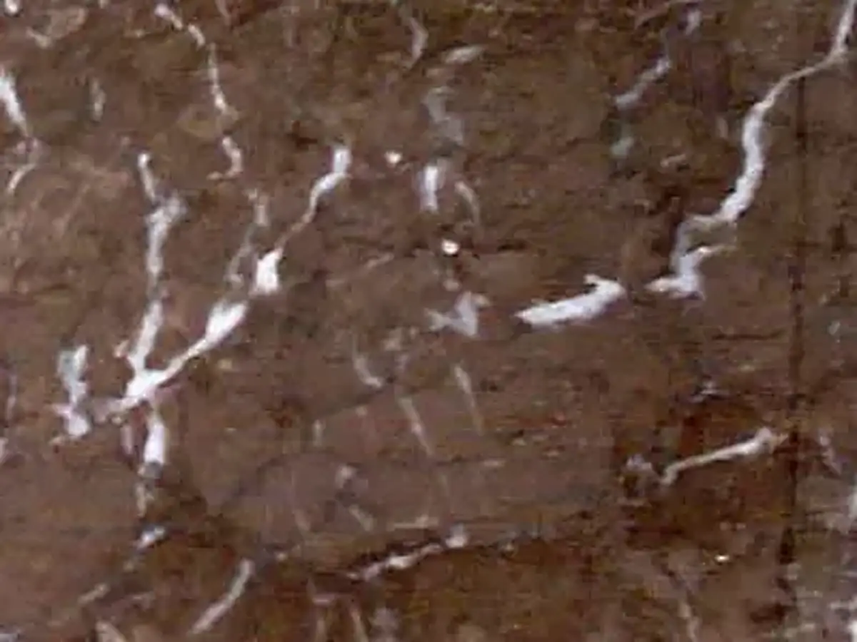 Iran M 232 caliza, muestra pulida – Marmi di Carrara – marrón, gris (1)