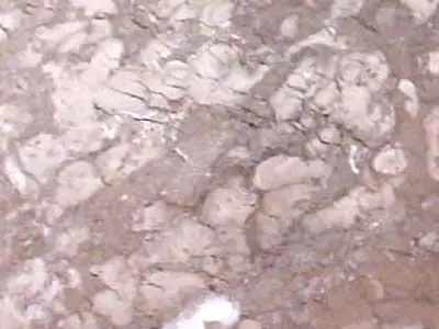Iran M 233 limestone