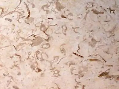 Iran M 234 limestone