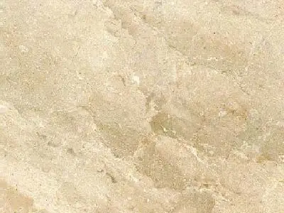 Ivory Borneo limestone polished sample – Marmi di Carrara – ivory, beige (1)