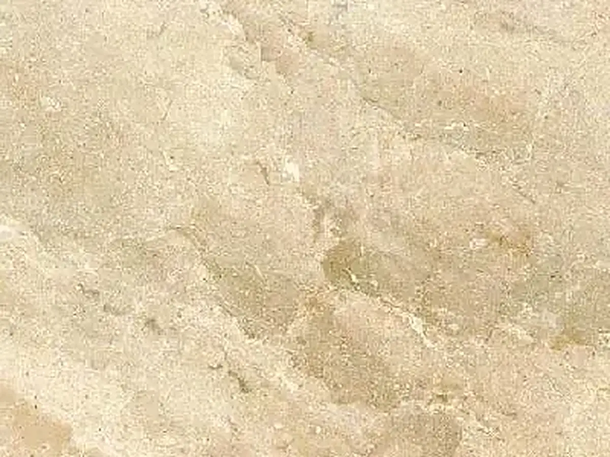 Ivory Borneo limestone polished sample – Marmi di Carrara – ivory, beige (1)
