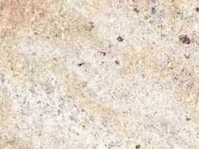 Ivory Chiffon granito, campione lucido – Marmi di Carrara – grigio, beige (1)