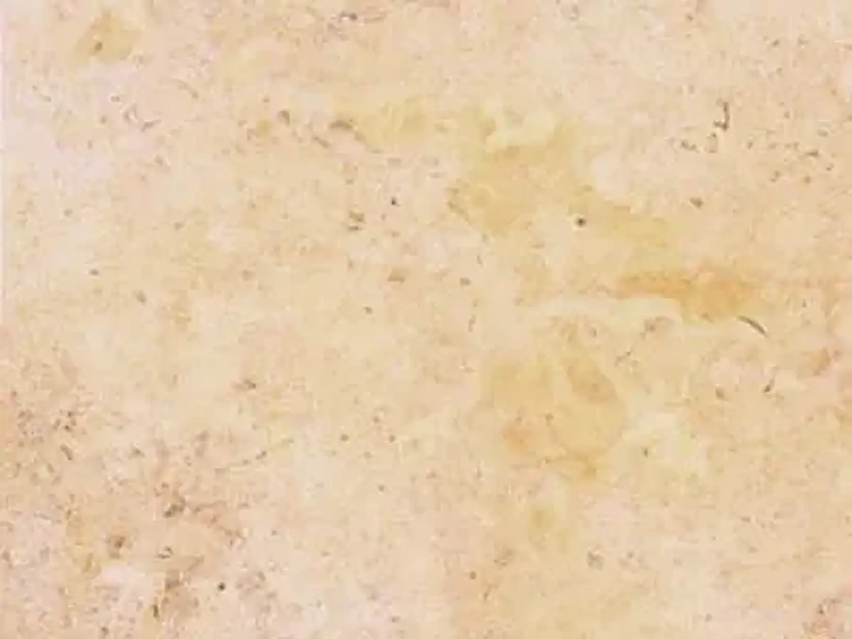 Jerusalem Stone calcaire, échantillon poli – Marmi di Carrara – ivoire, beige (1)