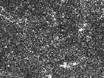 Jet Mist® granite