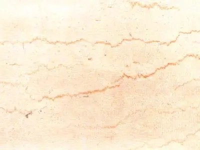 Julie Rose limestone