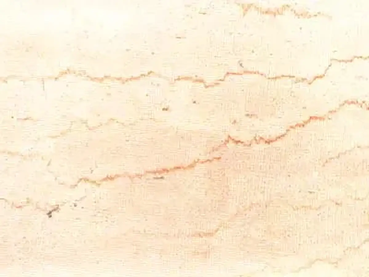 Julie Rose известняк, полированный образец – Marmi di Carrara – белый, слоновая кость (1)