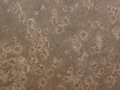 Juparaná Yellow Sun granite polished sample – Marmi di Carrara – grey, green (1)