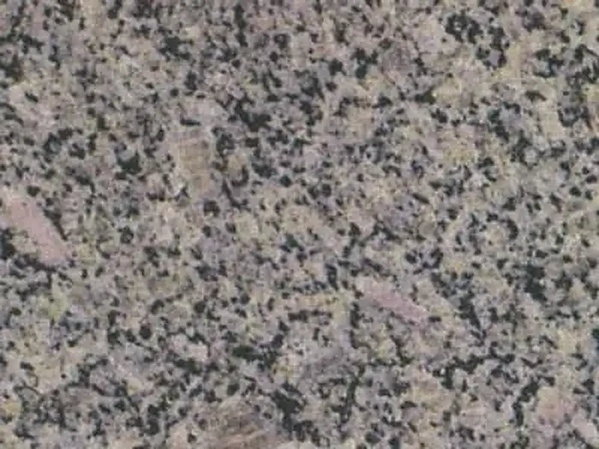 Kaman Rose Granit, polierte Probe – Marmi di Carrara – grau, grün (1)