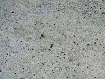 Kashmere White granite polished sample – Marmi di Carrara – grey, light grey (1)
