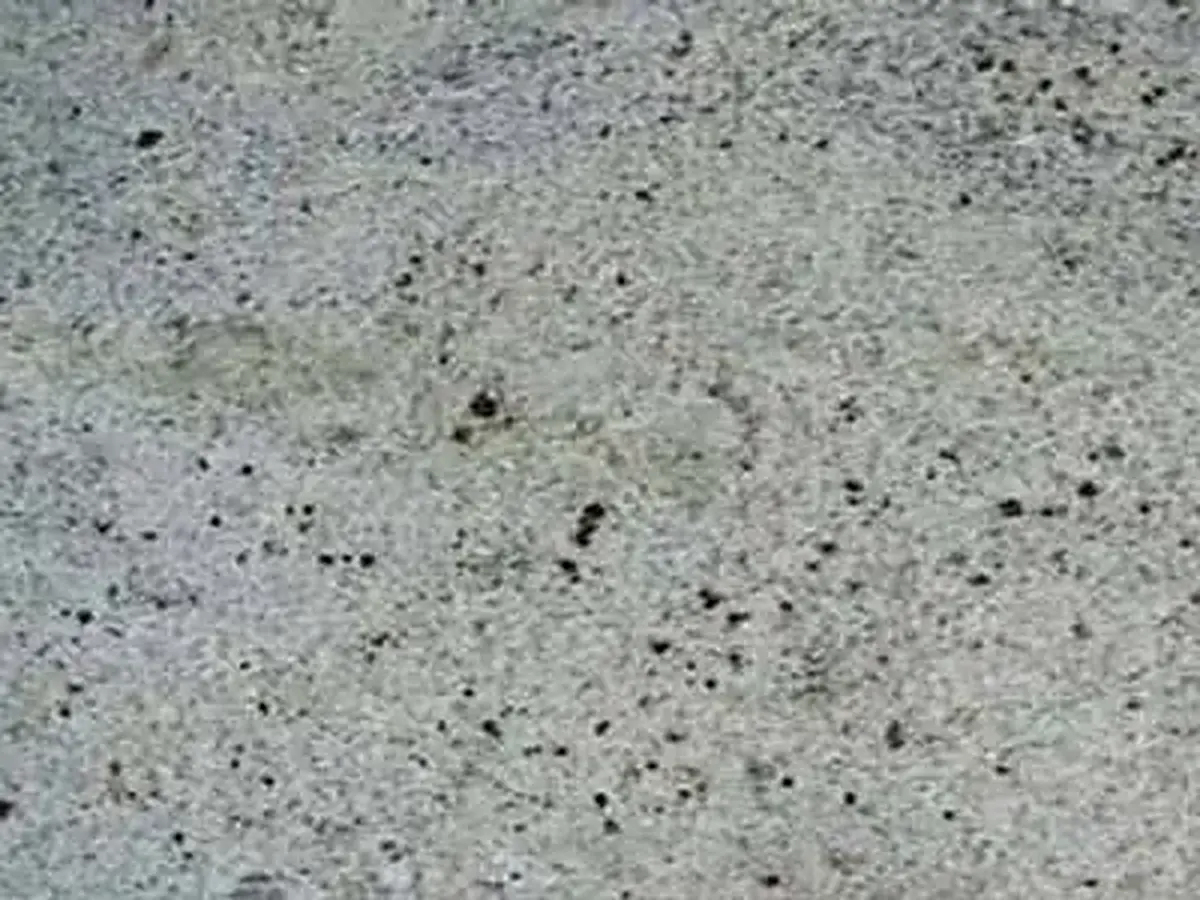 Kashmere White granite polished sample – Marmi di Carrara – grey, light grey (1)