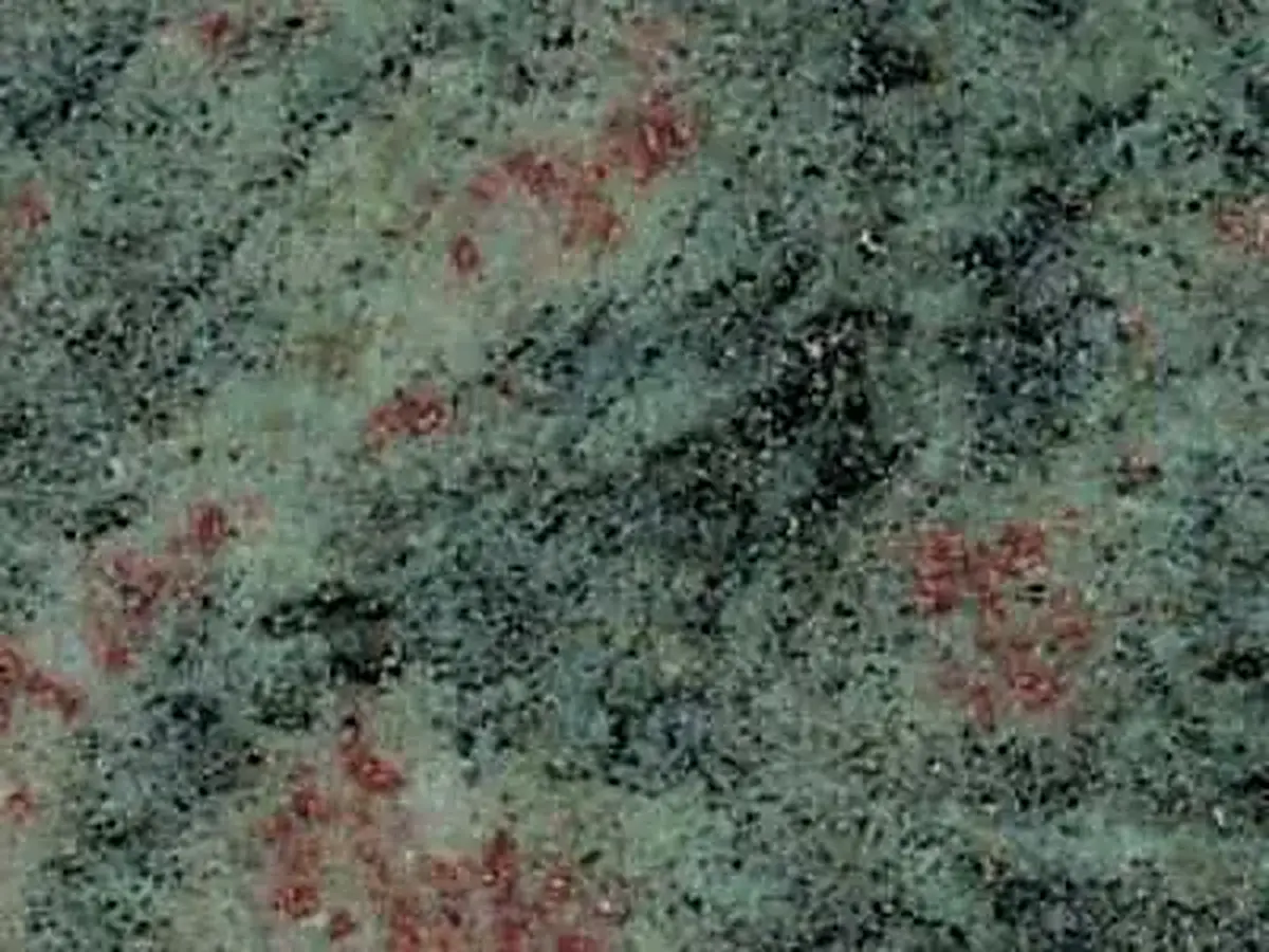 Kerala Green marble polished sample – Marmi di Carrara – charcoal, green (3)
