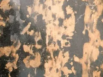Kind Gold limestone