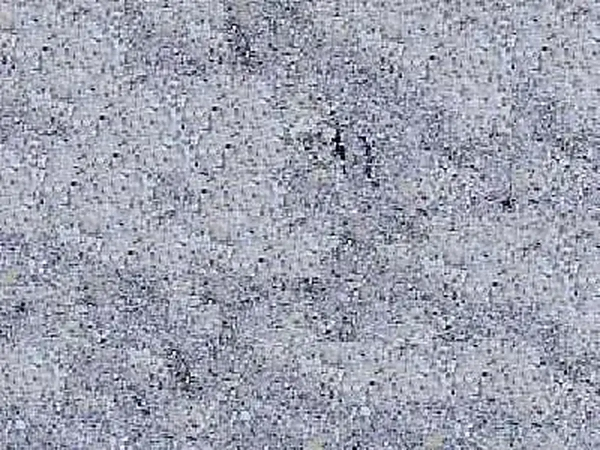 Kitledge Blue granite polished sample – Marmi di Carrara – light grey, grey (1)
