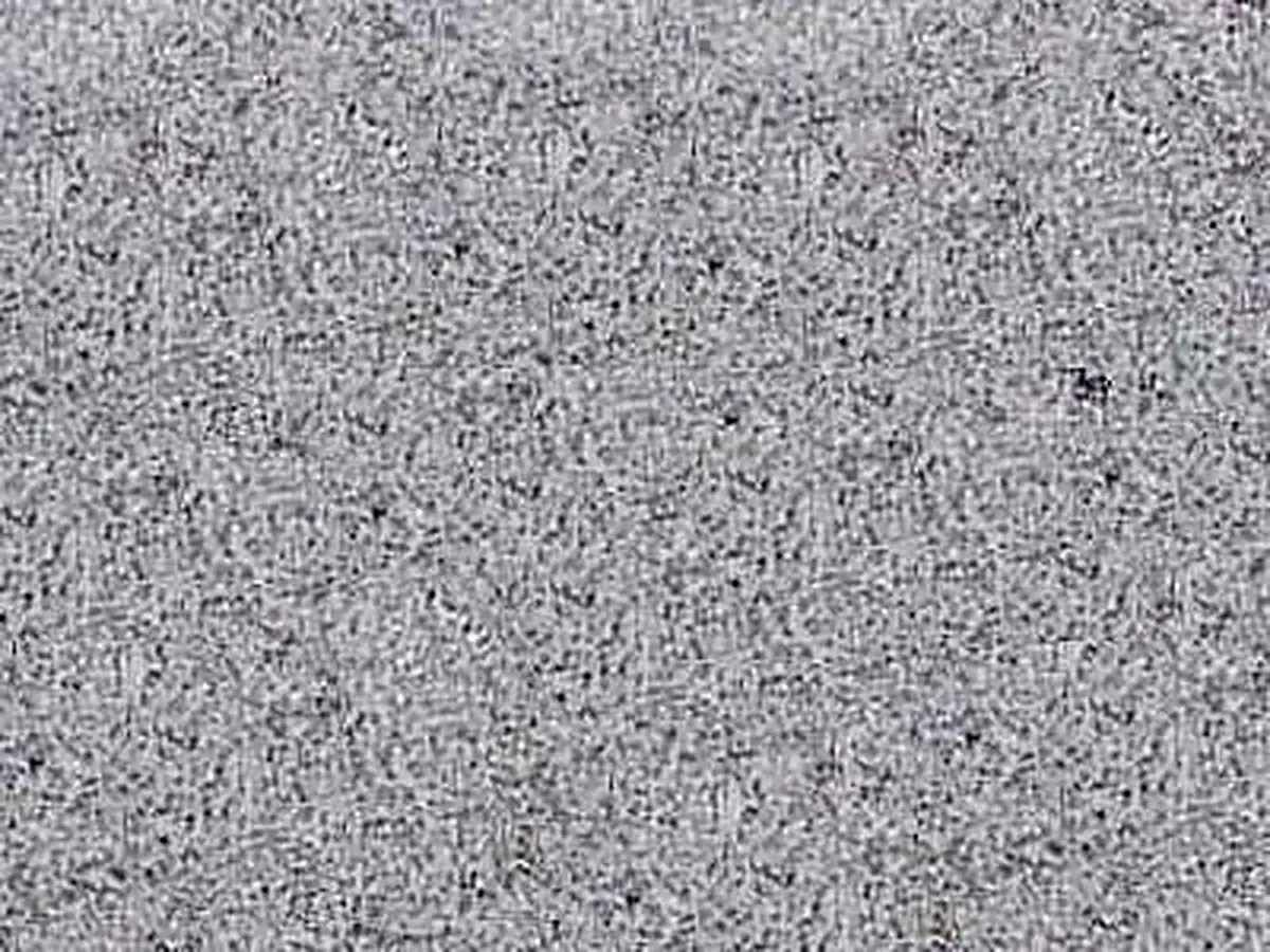 Kitledge Gray granito, campione lucido – Marmi di Carrara – grigio, grigio chiaro (1)