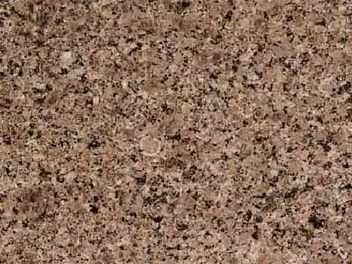 Kiurtinsky granito, campione lucido – Marmi di Carrara – grigio, marrone (1)