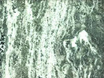 Kolmarden marble polished sample – Marmi di Carrara – grey, green (1)