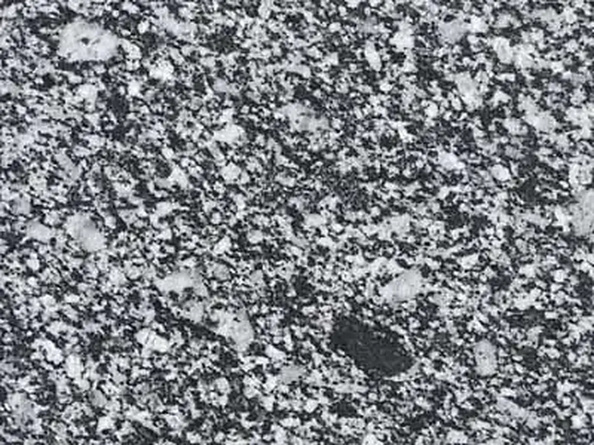 Kosmin Granit, polierte Probe – Marmi di Carrara – grau, grün (1)
