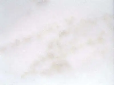 Kozani White marble