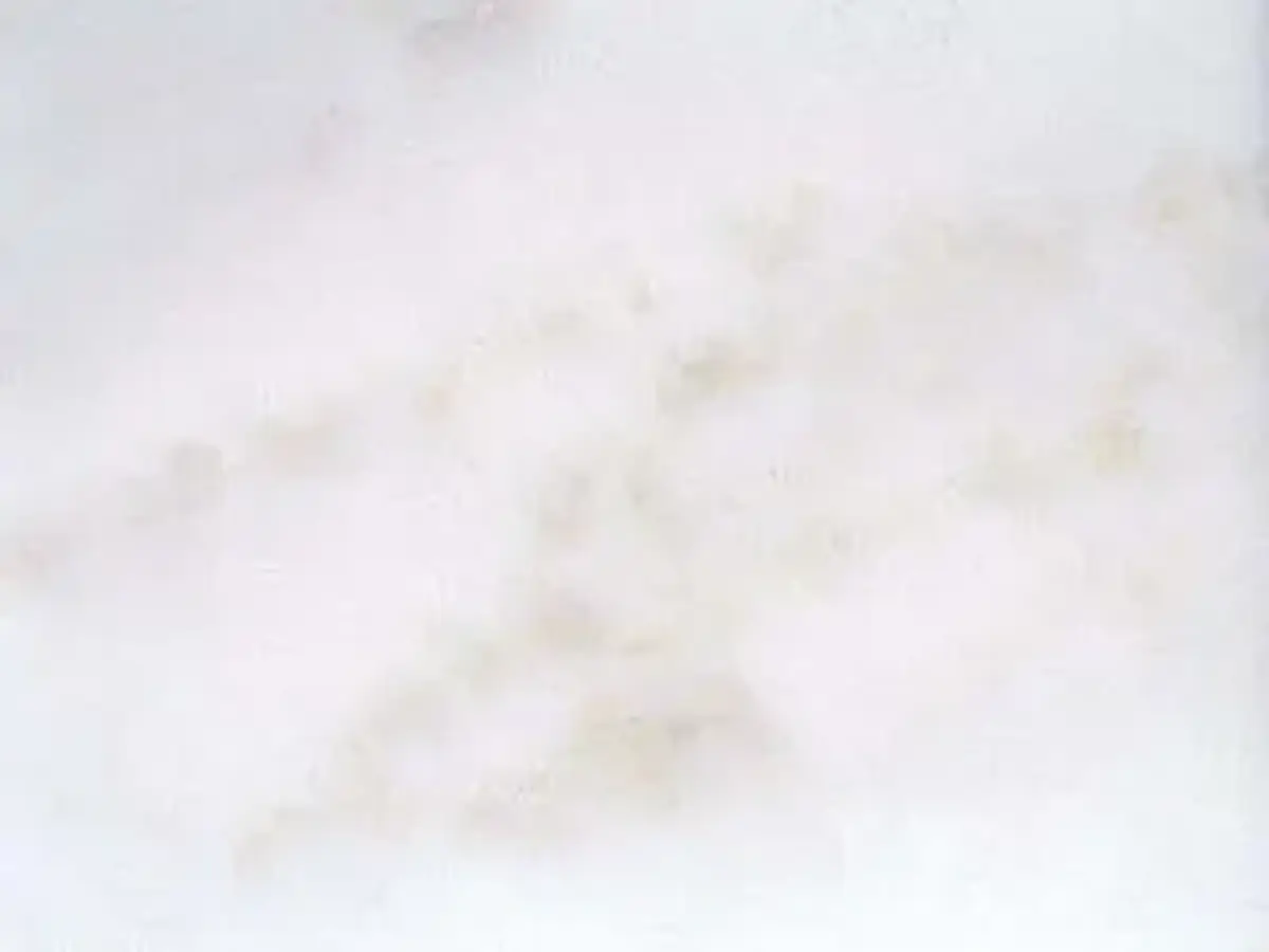 Kozani White marbre, échantillon poli – Marmi di Carrara – blanc, ivoire (1)