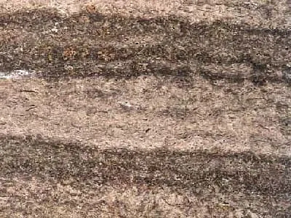 Krensheim Kalkstein, polierte Probe – Marmi di Carrara – beige, violett (1)
