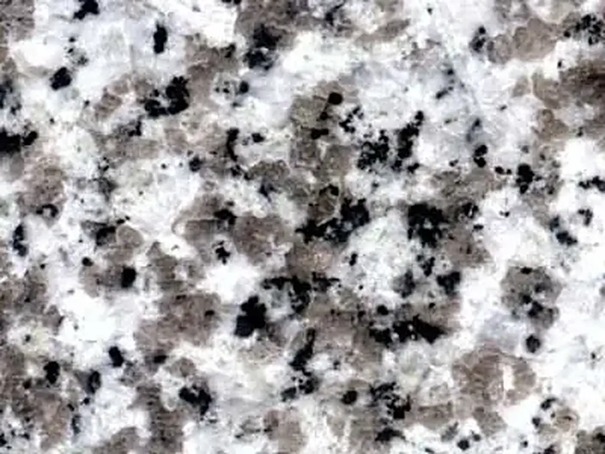 Ksw01 granito, muestra pulida – Marmi di Carrara – blanco, gris (1)